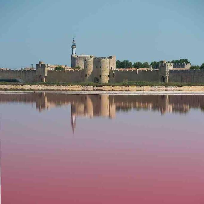 Maison Chaleureuse A 5 Mins Des Remparts Айга-Мортас Екстериор снимка