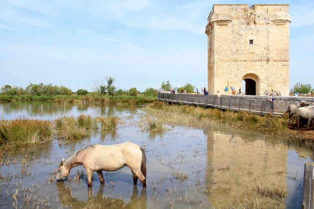Maison Chaleureuse A 5 Mins Des Remparts Айга-Мортас Екстериор снимка