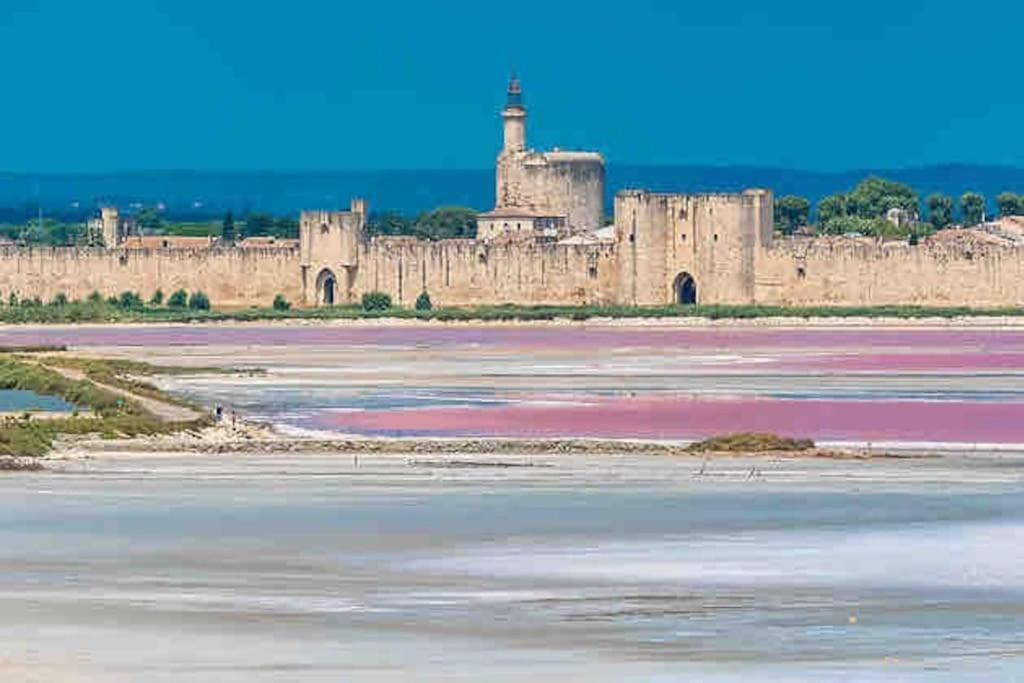 Maison Chaleureuse A 5 Mins Des Remparts Айга-Мортас Екстериор снимка